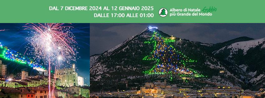 Albero di Natale più Grande del Mondo