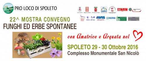 Mostra Convegno di Micologia, Funghi ed Erbe Spontanee