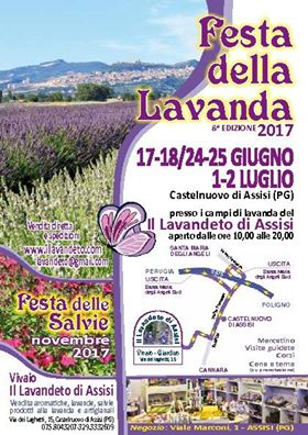 Festa della Lavanda