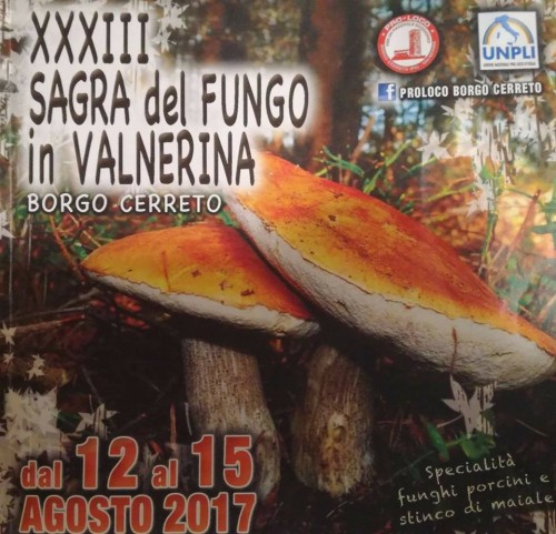 Sagra del Fungo in Valnerina