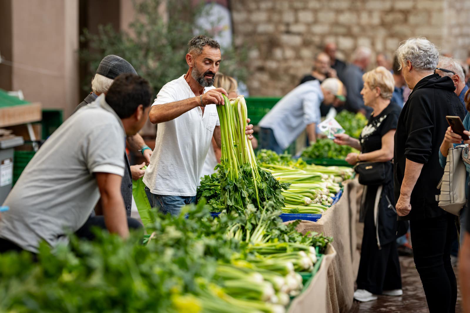 Sagra del Sedano Nero e della Salsiccia
