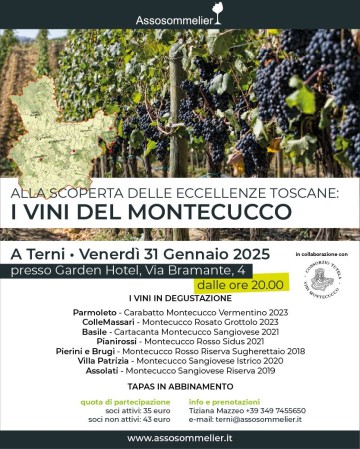 Alla Scoperta delle Eccellenze Toscane: i Vini del Montecucco