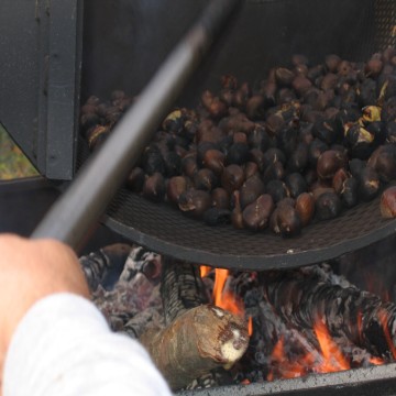 Festa d'Autunno — Evento a Monte Santa Maria Tiberina, Perugia