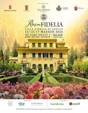 Rosa Fidelia