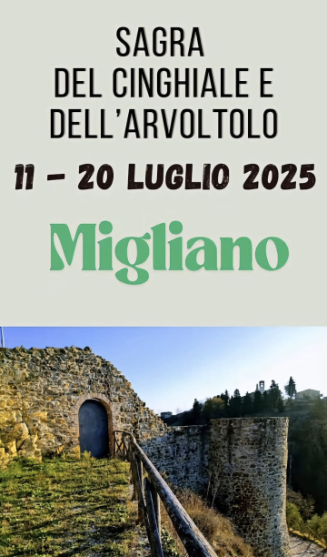 Sagra del Cinghiale e dell'Arvoltolo