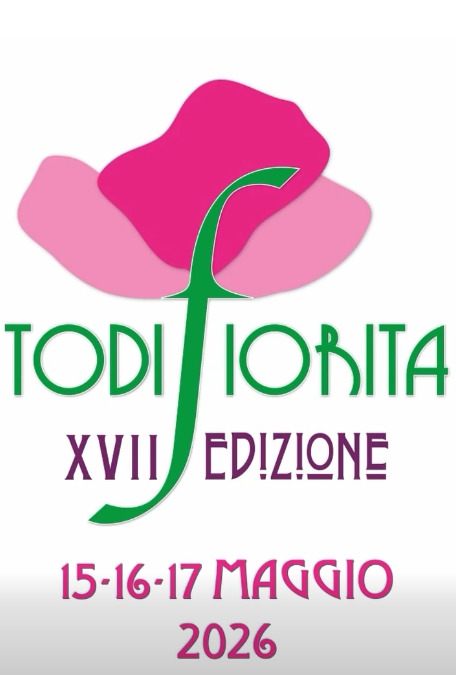 TodiFiorita
