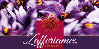 Zafferiamo a Città della Pieve